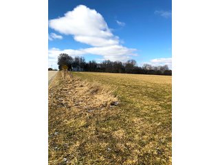 Property photo 11 - REAL ESTATE AUCTION - 30.5+/- ACRES IN 3 TRACTS IN KOSCIUSKO COUNTY, INDIANA
